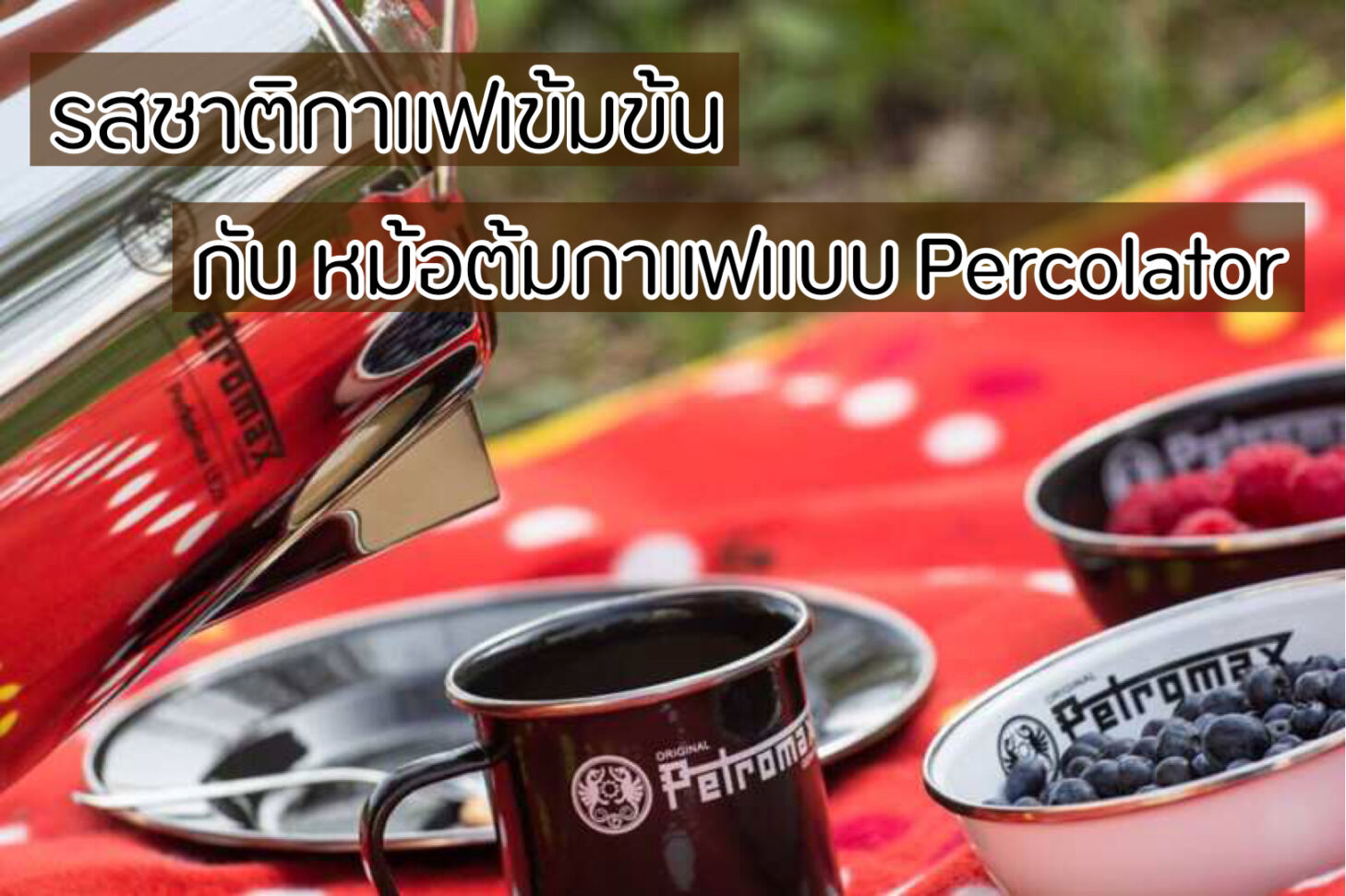 รสชาติกาแฟเข้มข้น กับ หม้อต้มกาแฟแบบ Percolator