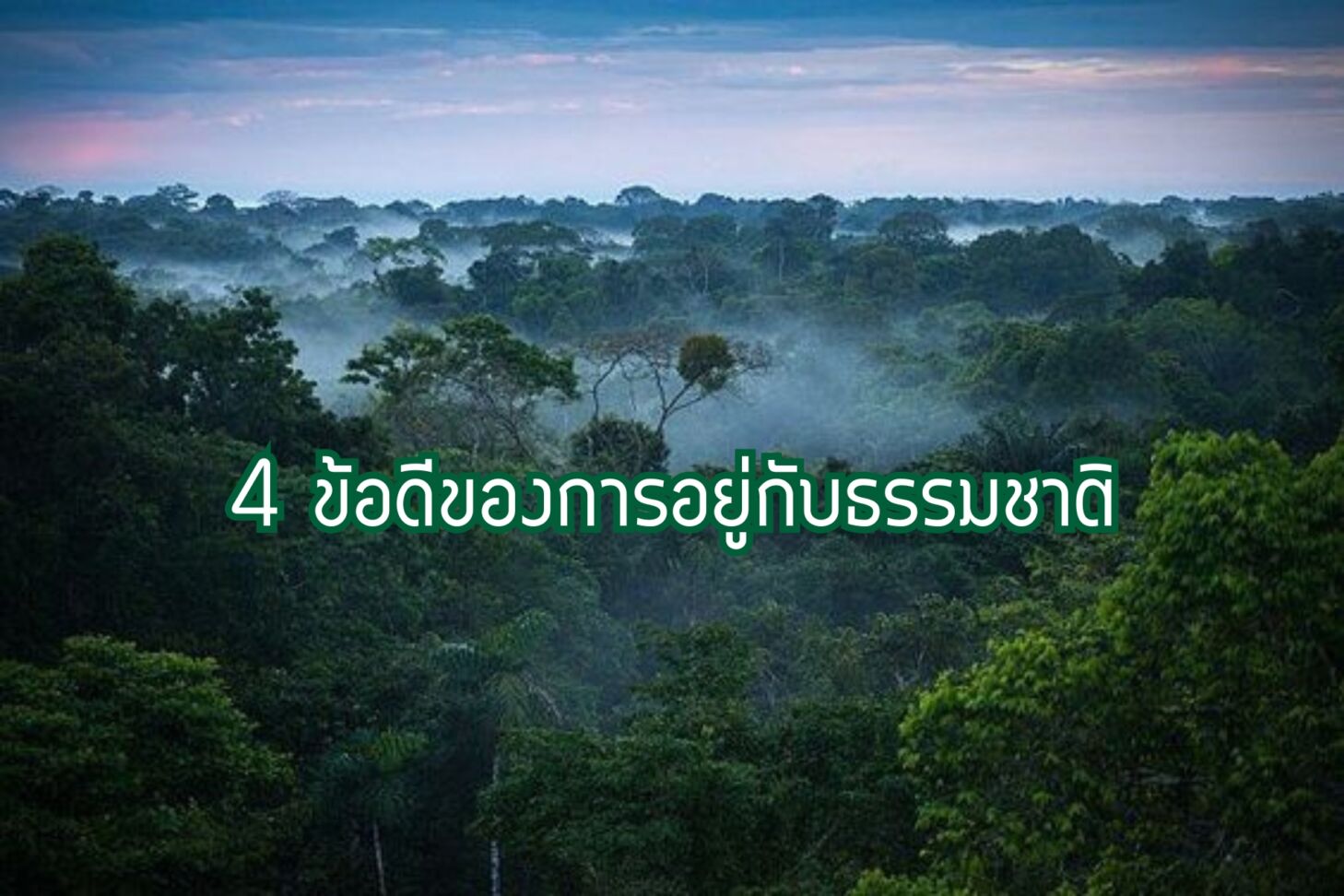 4 ข้อดีของการอยู่กับธรรมชาติ