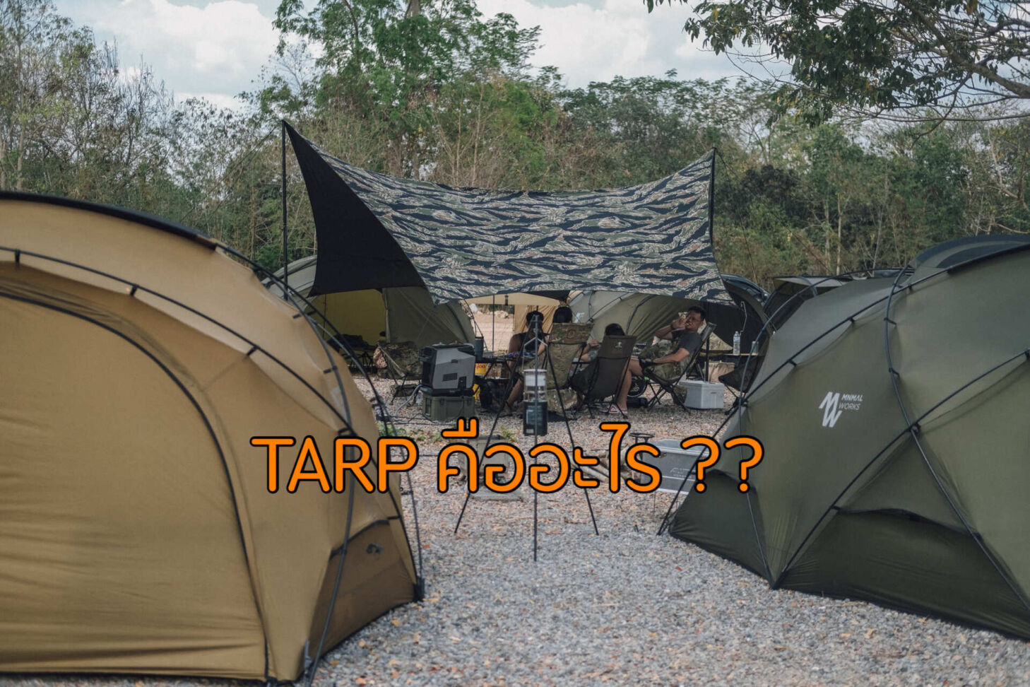 “Tarp” คืออะไร ??