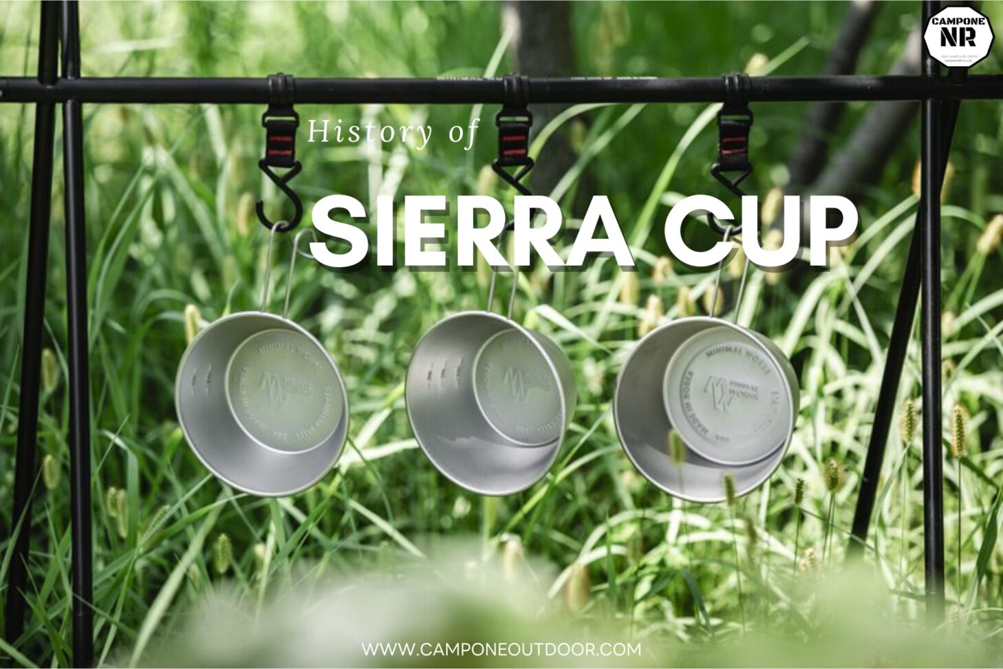 History of sierra cup