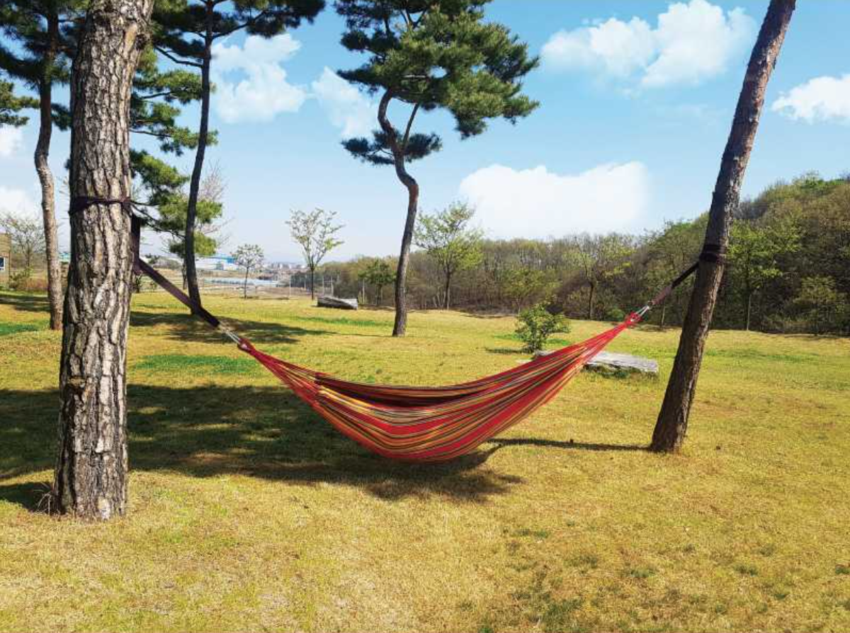 Orange Hammaock Ranch ENJOY HAMMOCK ORANGE — Camp One Outdoor brand